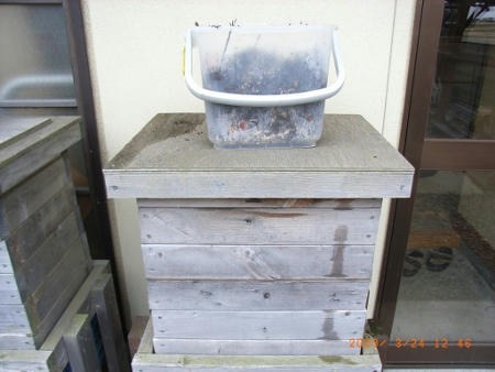 mimizu2RIMG6141.JPG
