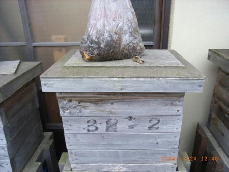 mimizu3RIMG6142.JPG