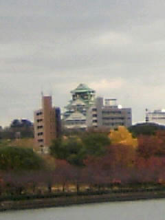 081130_1527~01.JPG