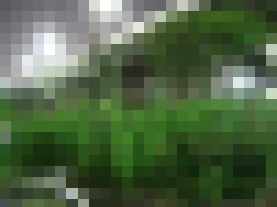 s-CIMG3563.jpg