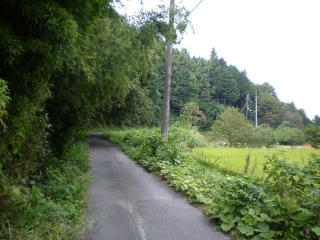 s-IMGP0055.jpg