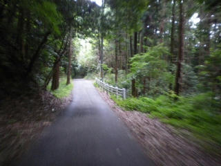 s-IMGP0062.jpg
