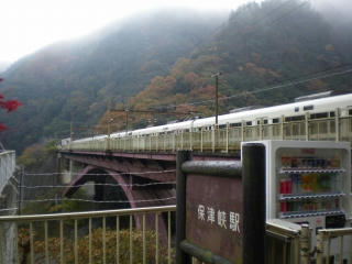 s-IMGP0068.jpg