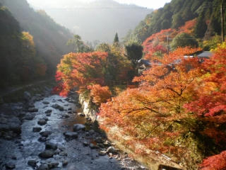 s-IMGP0069.jpg