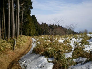 s-IMGP0129.jpg