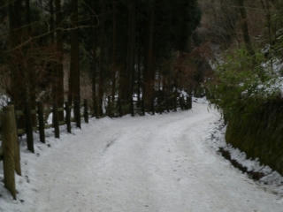 s-IMGP0142.jpg