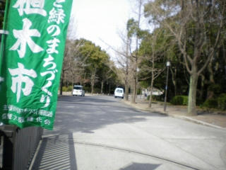 s-IMGP0163.jpg