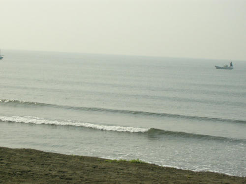 P1010012.JPG