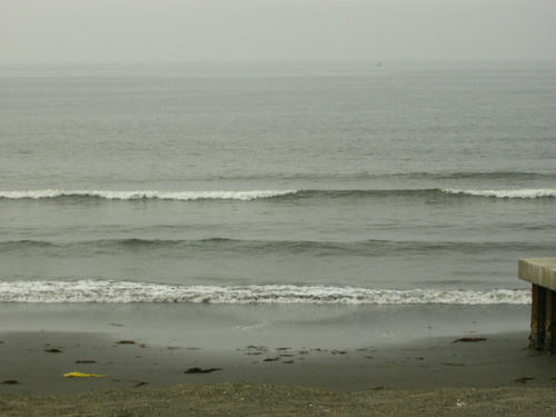 P1010019.JPG