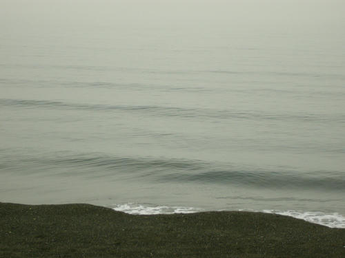 P1010034.JPG