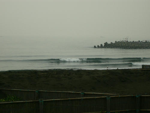P1010033.JPG