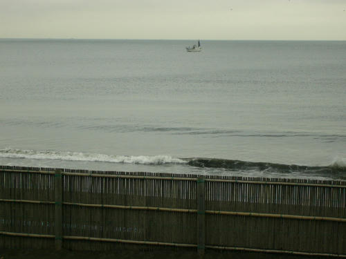 P1010044.JPG