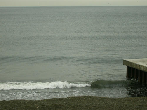 P1010042.JPG