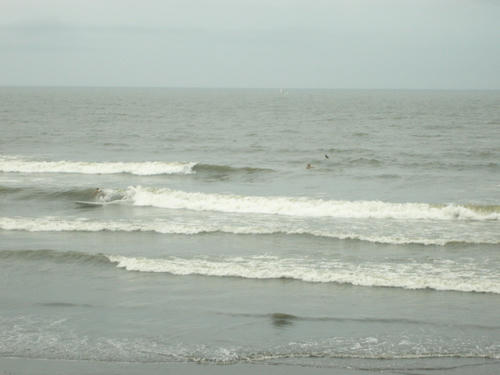 P1010057.JPG