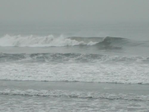 P1010093.JPG