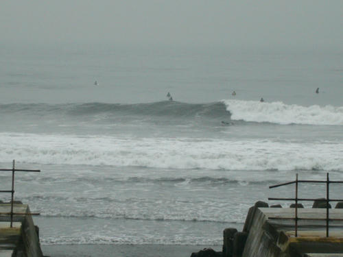 P1010092.JPG
