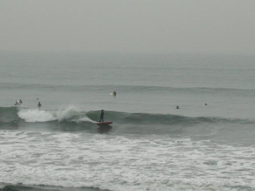 P1010090.JPG