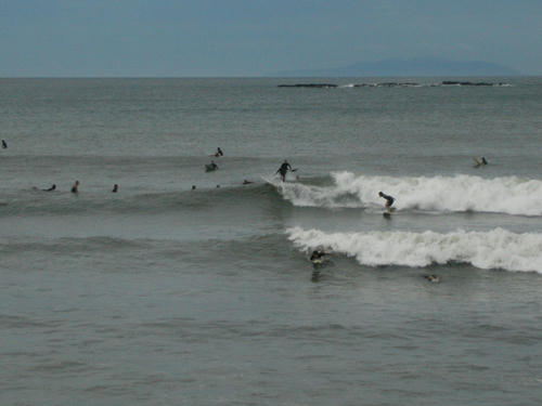 P1010105.JPG