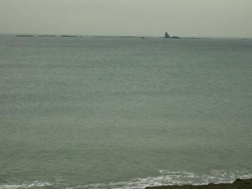P1010112.JPG