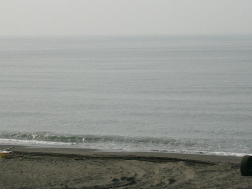 P1010148.JPG