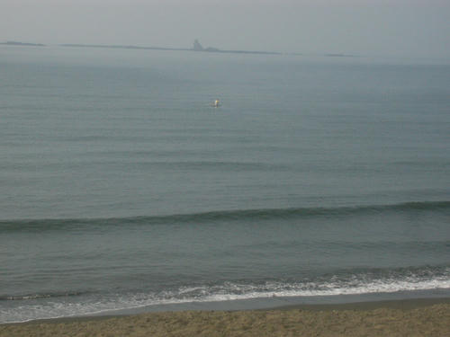 P1010145.JPG