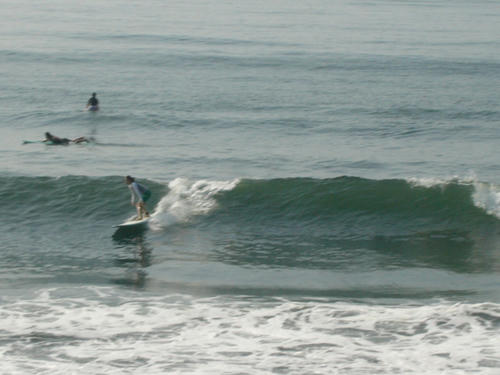 P1010176.JPG
