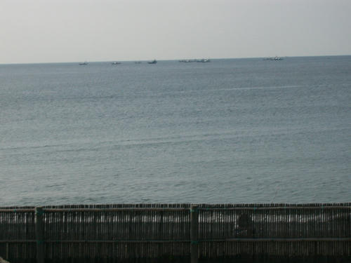 P1010197.JPG
