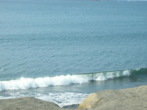 P1010194.JPG