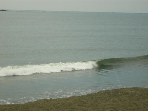 P1010199.JPG
