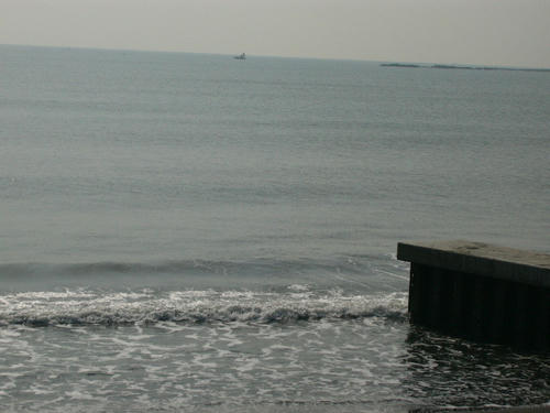 P1010232.JPG
