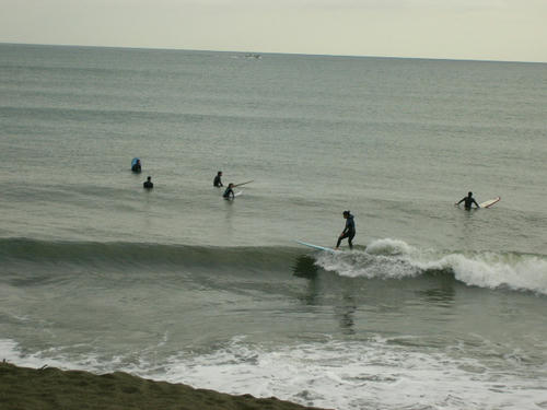 P1010257.JPG
