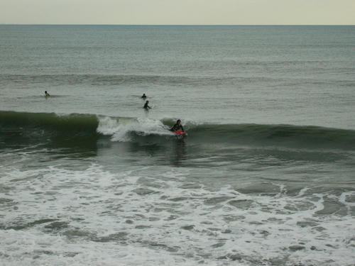 P1010263.JPG