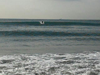 P1010398.JPG