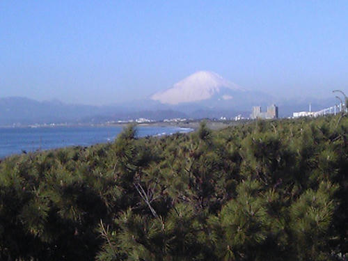 DVC00007.JPG