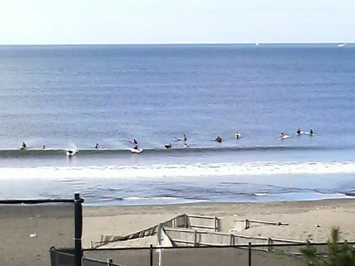 2008083108540000.jpg