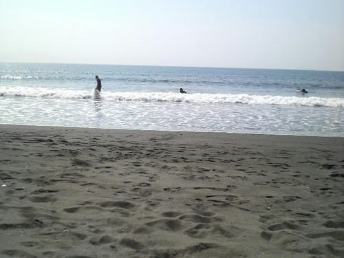 2008100410410000.jpg