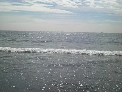 2008101012020000.jpg