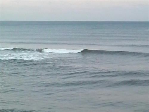 P1000159.JPG