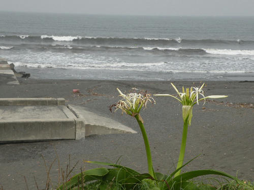 DSCN1120.JPG
