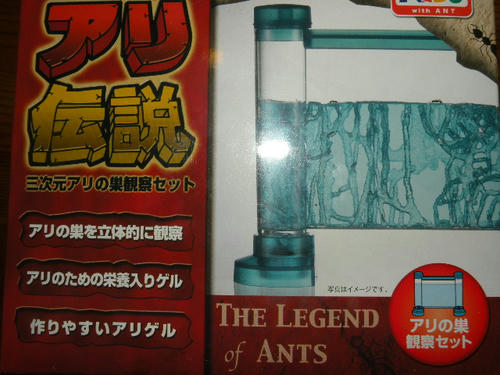 DSCN1179.JPG