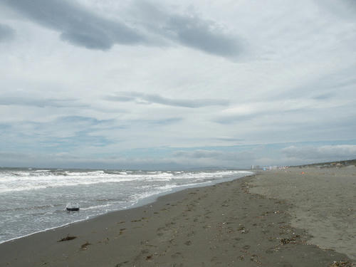 DSCN1201.JPG