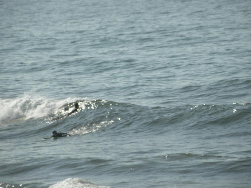 DSCN1210.JPG