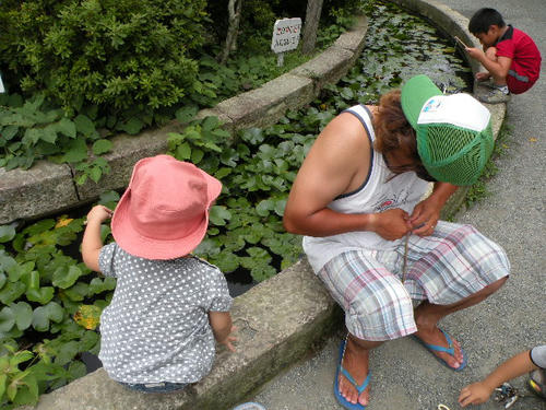 DSCN1336.JPG