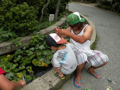 DSCN1339.JPG