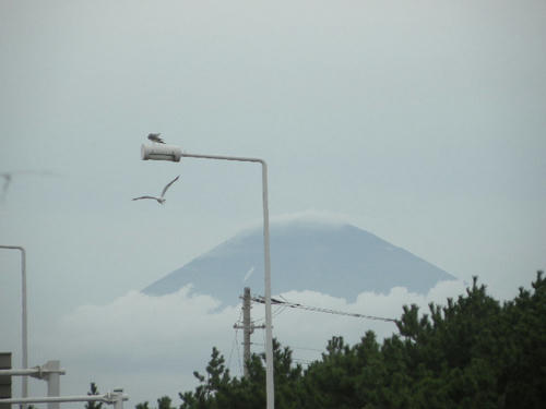 DSCN1433.JPG