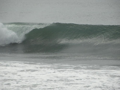 DSCN1533.JPG