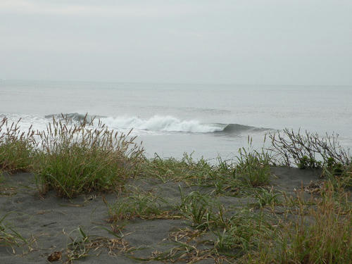 DSCN1548.JPG