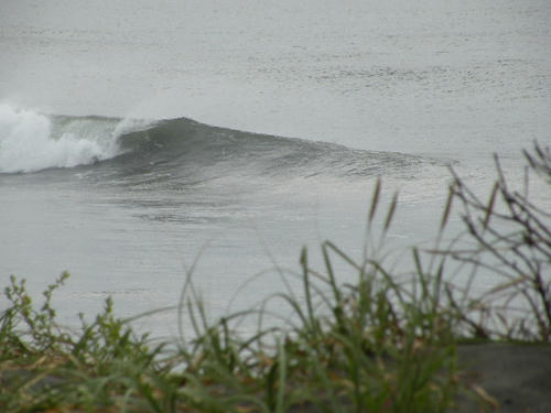 DSCN1551.JPG