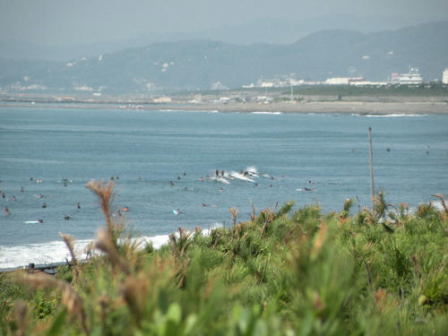 DSCN1564.JPG