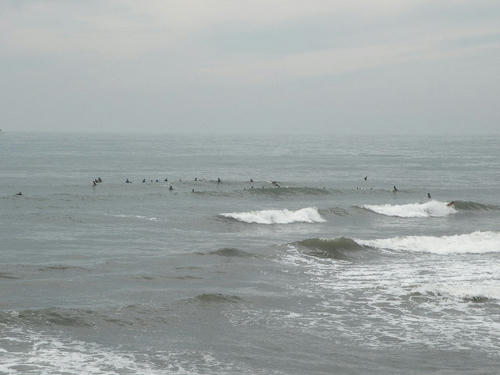 DSCN1565.jpg